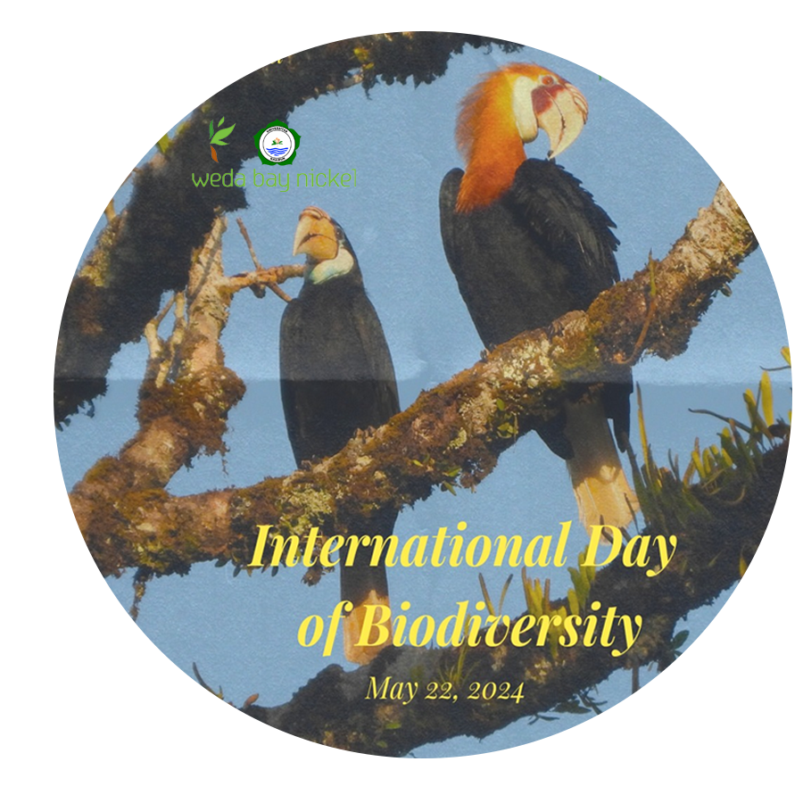 International Day of Biodiversity